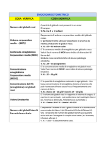 emocromocitometrico cosa verifica cosa significa