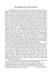 Gli animali sono salvi - testo originale