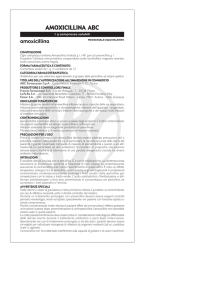 AMOXICILLINA ABC