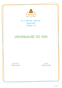 germinazione dei semi