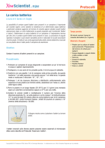 La carica batterica