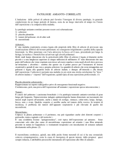 patologie amianto- correlate