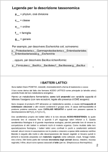 Legenda per la descrizione tassonomica