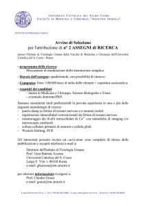 2 Post Doc Positions