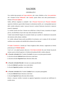 rachide - Dr. Luca Mingrone