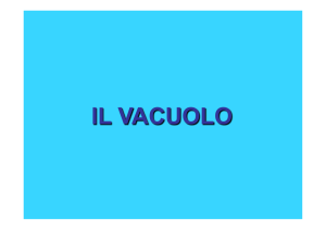 il vacuolo - Docenti.unina