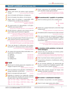 14 Quale componente del fosfolipide costituisce la parte