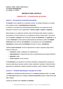 Capitolo A10 - La biodiversità: gli animali