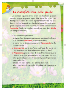 La classificazione delle piante