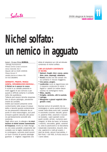 Silvia Bornia - Nichel solfato: un nemico in agguato - Linea