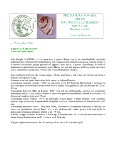 pro natura novara onlus gruppo malacologico novarese