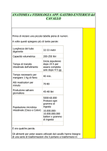 Anatomia e Fisiologia App.Gastroenterico