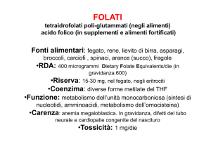 FOLATI