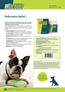 Petformance NoDol 1