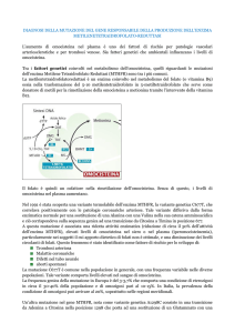 DIAGNOSI DELLA MUTAZIONE DEL GENE RESPONSABILE