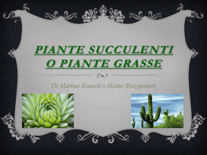 Presentazione standard di PowerPoint