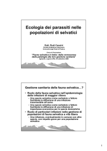 Intervento dott. R. Cassini