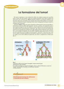 La formazione dei tumori