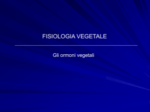 Lezione 15