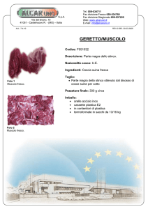 GERETTO/MUSCOLO