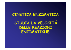 Gli Enzimi – Cinetica