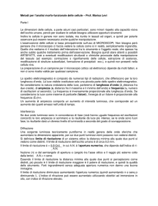 Metodi per l`analisi morfo-funzionale delle cellule – Prof. Marisa Levi