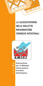 Visualizza la brochure