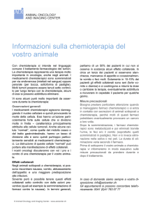 Informazioni sulla chemioterapia del vostro animale
