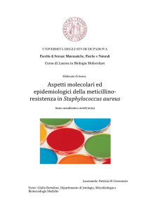 Documento PDF