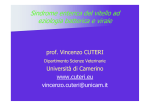 Sindromi enteriche del vitello