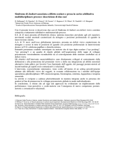 Sindrome di Joubert associata a difetto oculare e presa in carico
