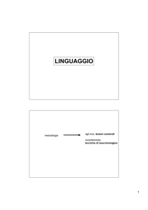 LINGUAGGIO