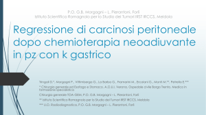 Caso 7 - Allegato