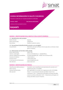 PregyFinish rasante sds (Peso 187.20 KB)