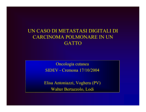 un caso di metastasi digitali di carcinoma polmonare in un gatto