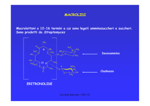 macrolidi e chetolidi