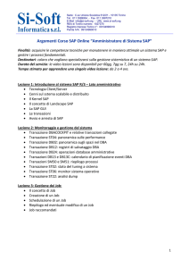 Amministratore di Sistema SAP - Si