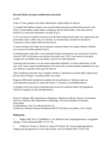 Raccolta fluida anecogena multiloculata perirenale CASO