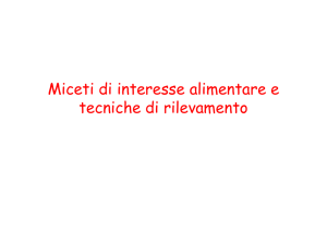 lezione 6