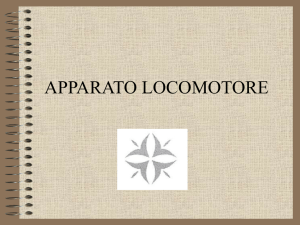 articolazione - Dott. Aldo Di Fazio