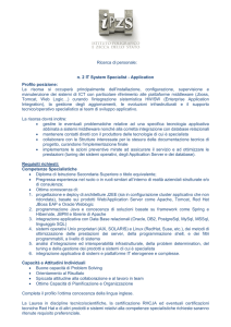 n. 2 IT System Specialist - Application Profilo posizione