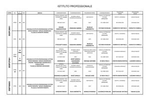ISTITUTO PROFESSIONALE