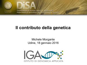 "Il contributo della genetica"