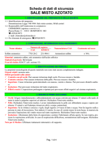 Miscela di sali in forma granulare (sale misto azotato)