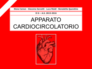 Diapositiva 1 - liceo maffei