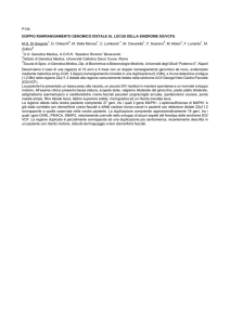 P134 DOPPIO RIARRANGIAMENTO GENOMICO