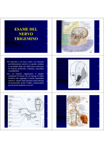 same neurologico - nervi cranici 3 - Digilander