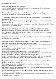 Senza titolo-1