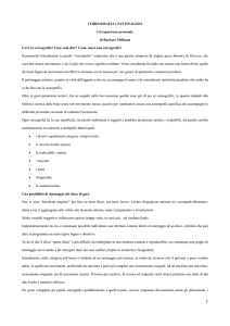 Coreografia e pattinaggio - 1° livello