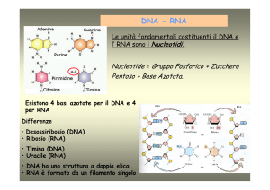 DNA - RNA